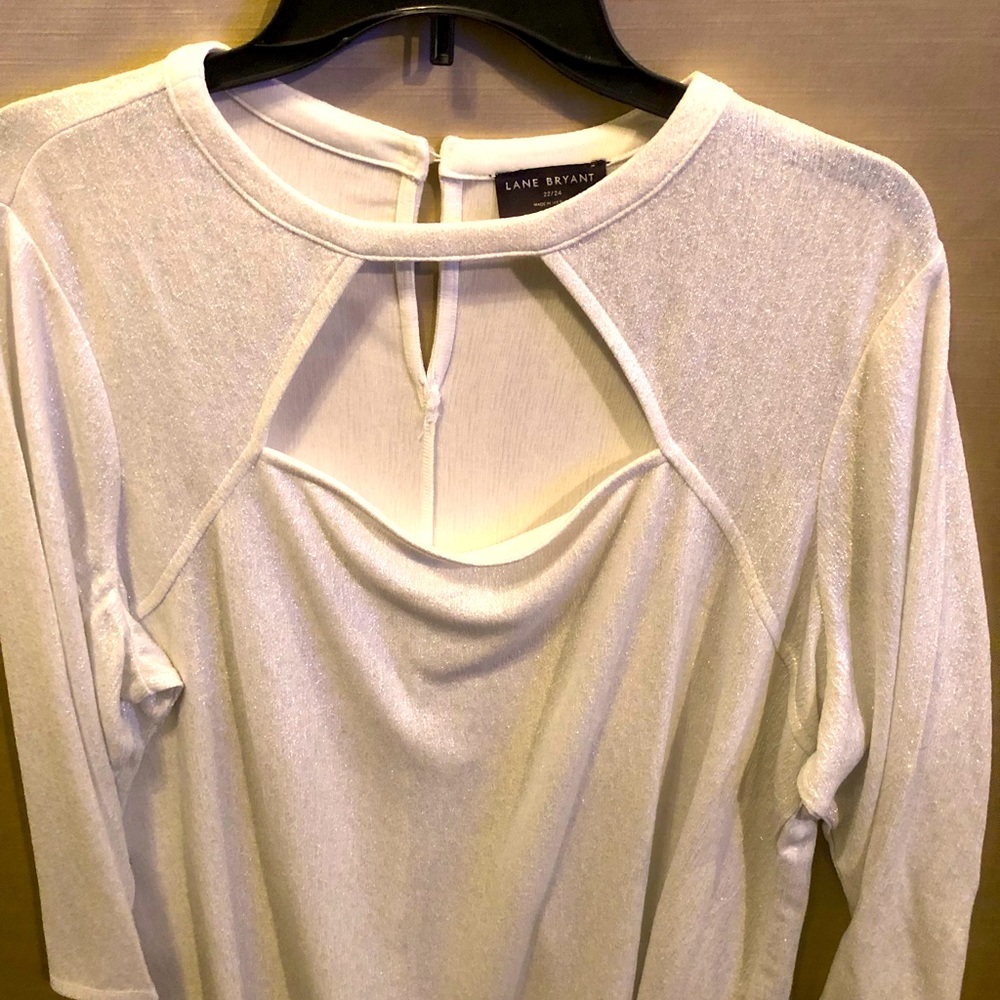 Holiday blouse shimmer